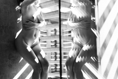 IMG_3738bw